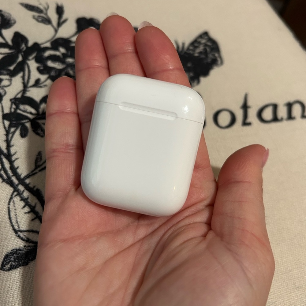 Apple Earbuds + Case